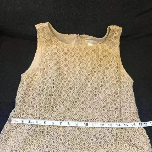 Garnet Hill Beige Eyelet Sheath Dress-Size 10 - Picture 11 of 11